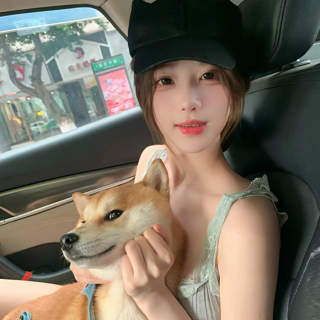 新东京猫猫